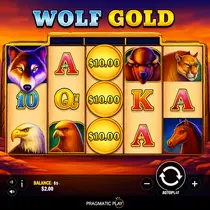 Playio - Wolf Gold Slot Game - Free Spins and Multipliers